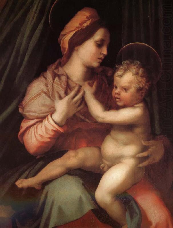 Andrea del Sarto The Virgin and Child china oil painting image